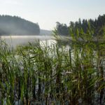 Der letzte See auf unserem Baltikum Roadtrip