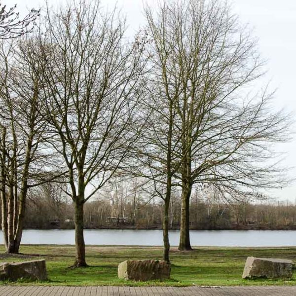 Places to SUP - Sechs Seen Platte - Einstieg Masurenallee