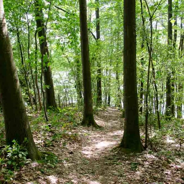 SUP Spot Hennetalsperre, Einstieg Enkhausen II