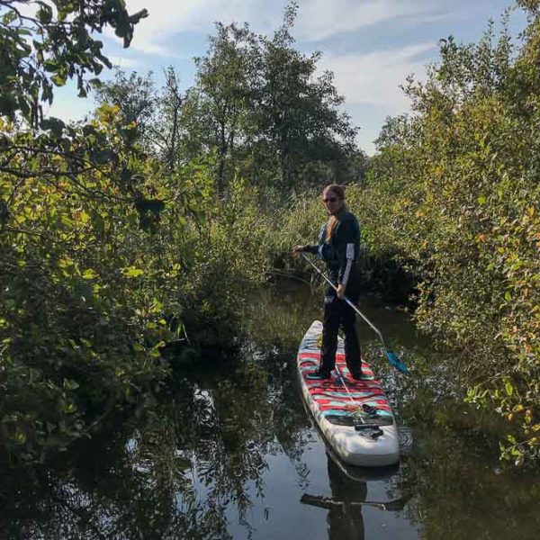 SUP Tour im National Park De Alde Feanen, Niederlande