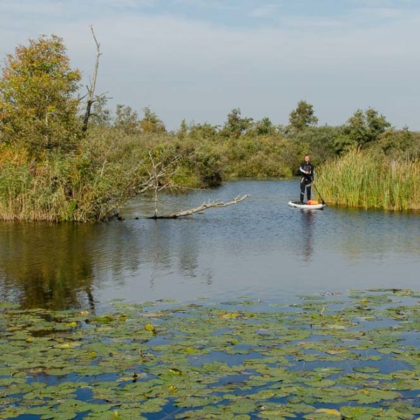 SUP Tour im National Park De Alde Feanen, Niederlande