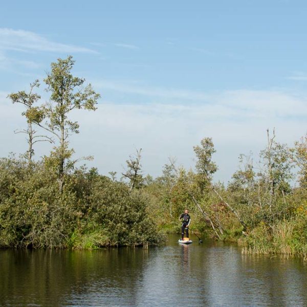 SUP Tour im National Park De Alde Feanen, Niederlande